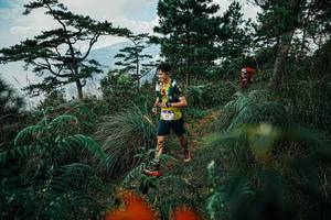 BIB: 
                            <button type="button" onclick="openModal(25257904)" class="btn btn-primary btn-sm float-right btn-popup" data-toggle="modal" data-target=".modal-high-quality">
                        <i class="fas fa-shopping-cart"></i> Add to Cart
                    </button>
                                            <button type="button" onclick="isThisMe(25257904, true)" class="btn btn-success btn-sm float-right btn-popup btn-isme hidden" data-toggle="tooltip" data-placement="bottom" title="นี่คือรูปของคุณใช่ไหม คลิกที่นี่เพื่อเอาเข้าอัลบั้ม">
                        <i class="fas fa-plus"></i> Add to album
                    </button>
                    <button type="button" onclick="isThisMe(25257904, false)" class="btn btn-warning btn-sm float-right btn-popup btn-isnotme hidden">
                        <i class="fas fa-ban"></i> Remove from album
                    </button>